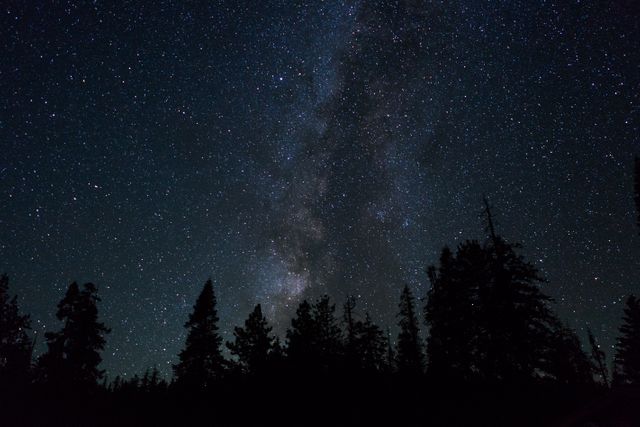 Image depicting a night sky filled with stars and the Milky Way galaxy stretching across the sky over dark forest silhouettes. Perfect for use in astronomy blogs, educational materials, nature photography features, and travel brochures promoting stargazing destinations.