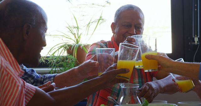 Senior Friends Enjoying Refreshing Orange Juice Together - Download Free Stock Images Pikwizard.com