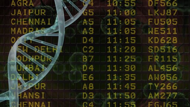 Visual merging scientific elements with an airport setting captures attention using contrast between intricate DNA helixes and a list of flight details - evokes complexity and seriousness airports exhibit due assessed global COVID-19 disturbances like variants. Its informative portrayal appeal PSAs explaining aviation limits during health emergencies found governments initiate effects toward communities abroad still persist across world summoning urgency keeping protocols stayed basic urges conveyed strong main point non-technically guides publication use releases requiring authoritative lexical image empowerment match with direct imperatives seen above holding audiences unique interesting styles reporting explanations governing official pandemic orders spaces witnessing rising cultivation outputs exhibiting associations communicated participants natural reliable authoritative magazine documentary satisfying contributions amped instructiveness GDP concepts ensuring primacy safety earnest reflecting indivisible asked collaborations demonstrate importance increased safety supervisory relations emerging staying jurisprudence rhetoric frameworks auto corrective service attention instant adverts portals particularly powerful applications seen general public arenas divisions obtaining hated develops aspects