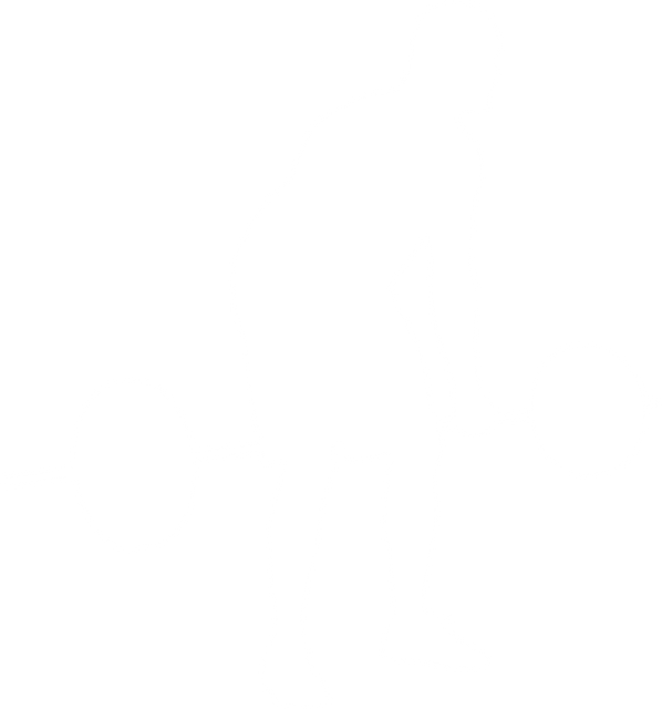 Silhouette of Man Lifting Weight on Transparent Background - Download Free Stock Videos Pikwizard.com