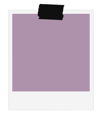 minimalist polaroid-style frame with lavender space and transparent plain background - Download Free Stock Videos Pikwizard.com
