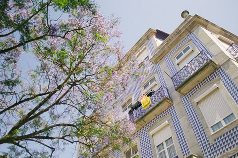 Traditional European Building with Azulejos and Blooming Tree