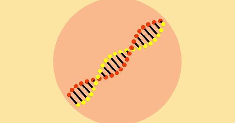 Colorful Double Helix DNA Design on Yellow Background