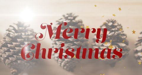 Festive Merry Christmas Text over Pine Cone Background