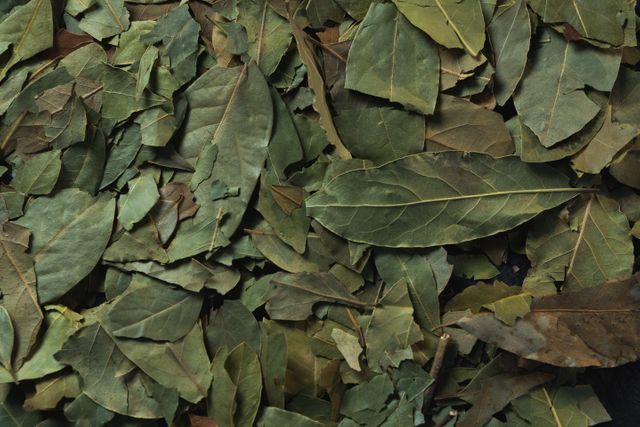Full frame of dried bay leaves, showcasing their texture and natural green color. Ideal for use in culinary blogs, cooking websites, or as a background for food-related content. Perfect for illustrating articles on spices, herbs, and natural ingredients.