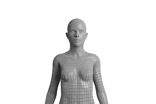 Transparent Digital Wireframe of Female Figure on Transparent Background - Download Free Stock Videos Pikwizard.com