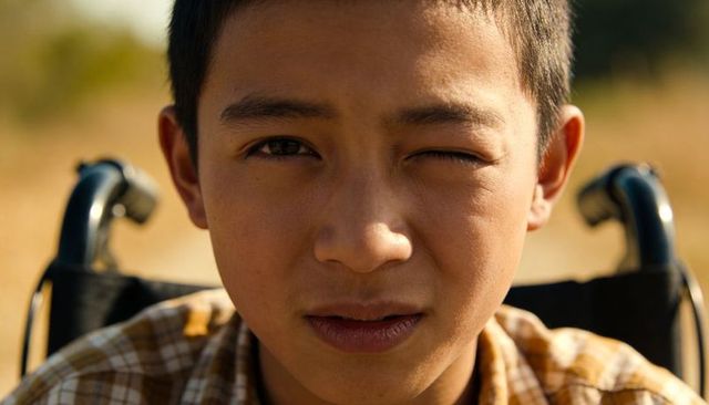 Sunlit asian teen sitting in wheelchair squinting in golden meadow, plaid shirt close-up