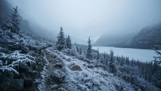 Winding frosted alpine trail overlooking frozen lake in misty mountain morning