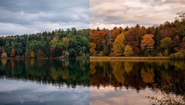 Dual Seasons at Tranquil Lake Reflecting Lush Forests