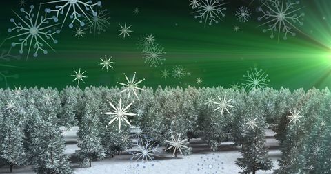 Winter Wonderland with Falling Snowflakes Over Pine Trees - Download Free Stock Images Pikwizard.com