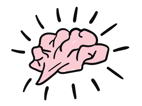 pink brain illustration icon on transparent background - Download Free Stock Videos Pikwizard.com