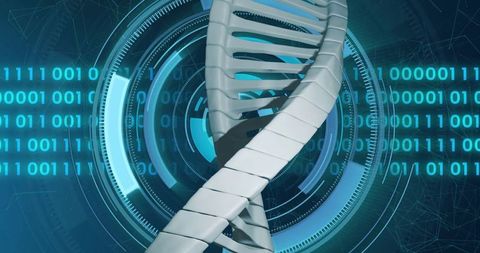 futuristic dna strand over digital binary interface - Download Free Stock Images Pikwizard.com