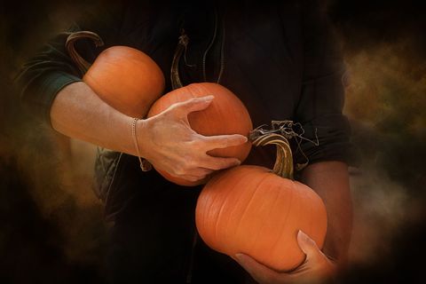 Person Holding Bright Orange Pumpkins During Harvest Season