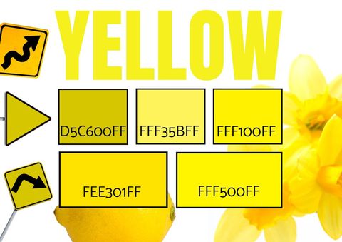 bright yellow tones with signs and flowers for fresh creativity - Download Free Stock Templates Pikwizard.com