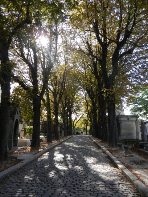 Cobblestone pathway in a cemetery lined with tall trees. Sunlight filters through the leaves, casting shadows on the ground. Ideal for concepts of serenity, quiet reflection, mourning, peaceful walks, solitary moments, or autumn scenes.