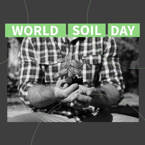 world soil day: senior man holding plant for earth care - Download Free Stock Templates Pikwizard.com