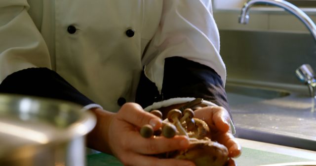 Chef Preparing Fresh Mushrooms in Kitchen - Download Free Stock Images Pikwizard.com