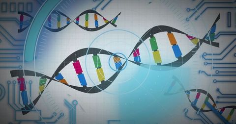 DNA Strands and Circuitry Representing Medical Data Technology - Download Free Stock Images Pikwizard.com