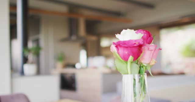 Image of pink roses in vase standing at home. Houseplants, interiors and home interior desing concept.