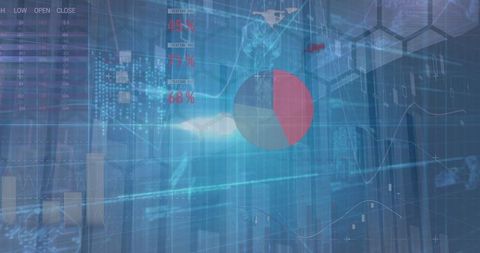 Innovative Financial Dashboard with Dynamic Pie Chart and Data Analysis