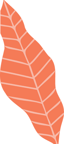 flat coral leaf with peach veins on transparent background - Download Free Stock Videos Pikwizard.com