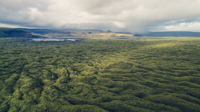 Aerial view of lush green moss-covered highlands under a dramatic sky in Iceland. Ideal for nature travel blogs, environmental documentaries, and landscape calendars.