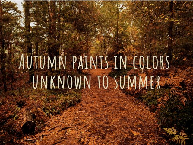 Picture features a forest path in autumn, surrounded by trees with vibrant fall foliage. The image includes an overlay of an inspirational quote about autumn's unique colors and the passage of time. This image is ideal for seasonal projects, environmental campaigns, and social media posts highlighting the beauty of change.