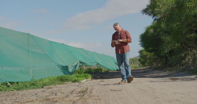 Senior Caucasian man walks on a farm road, reviewing documents. He's assessing the agricultural work, with the greenhouse in the background.