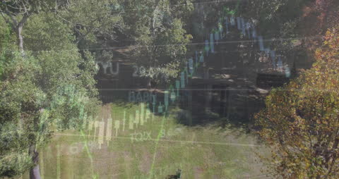 Blend of Financial Data Graphics and Lush Park Scene