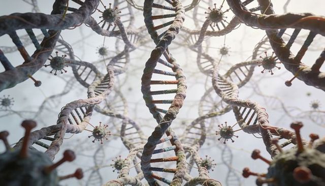 Entangled dna double helix with viral particles and fibrous matrix, biomedical concept