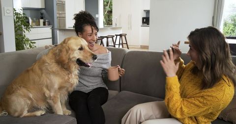 Cozy morning with diverse women sharing coffee, laughing and cuddling golden retriever on sofa